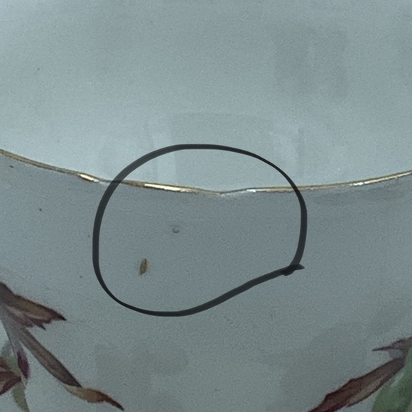 Regency English Bone China Fruits Teacup and Saucer - Picture 13 of 13